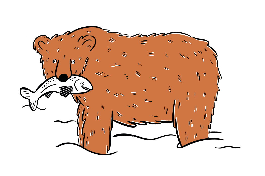 Wildsam