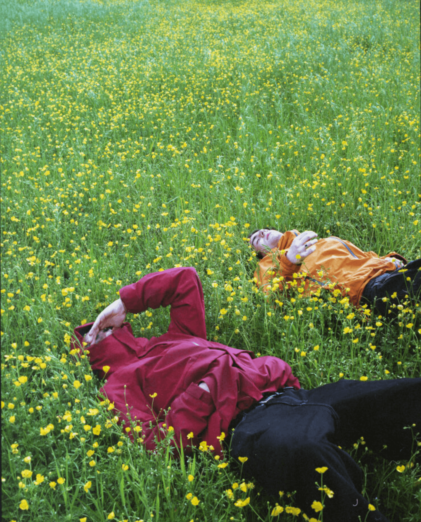 Wildsam