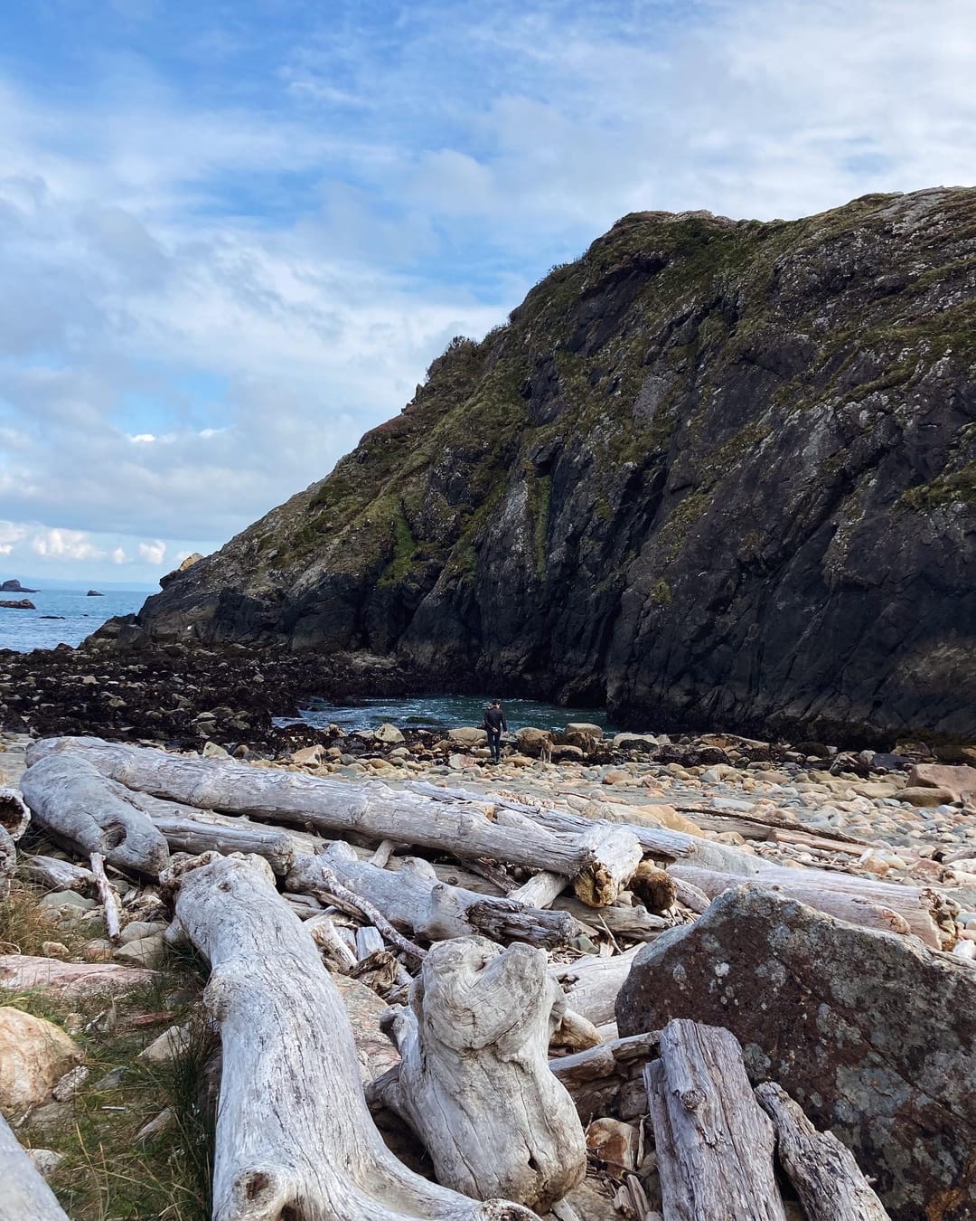 Building the Plywood Palace Wildsam