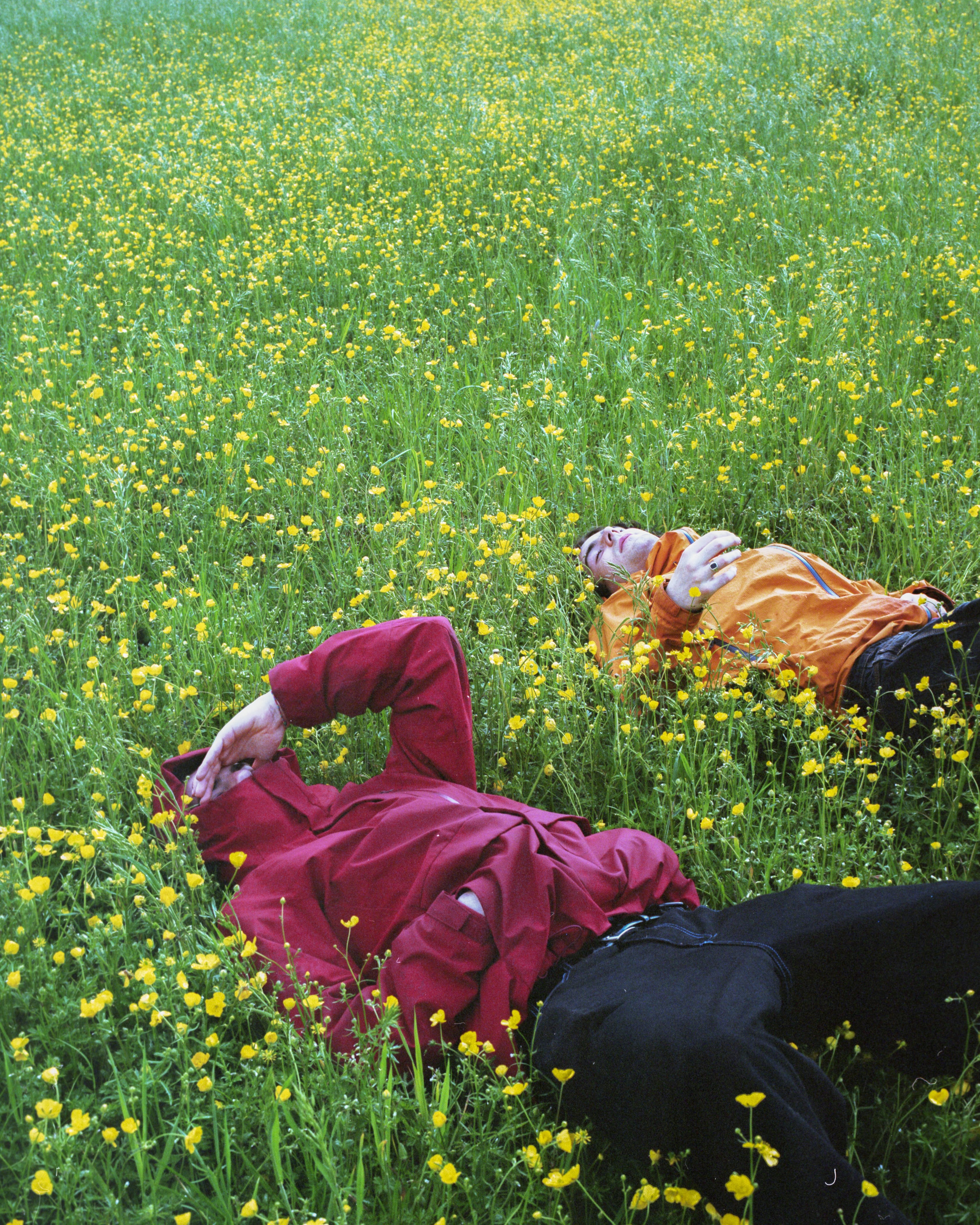 Wildsam