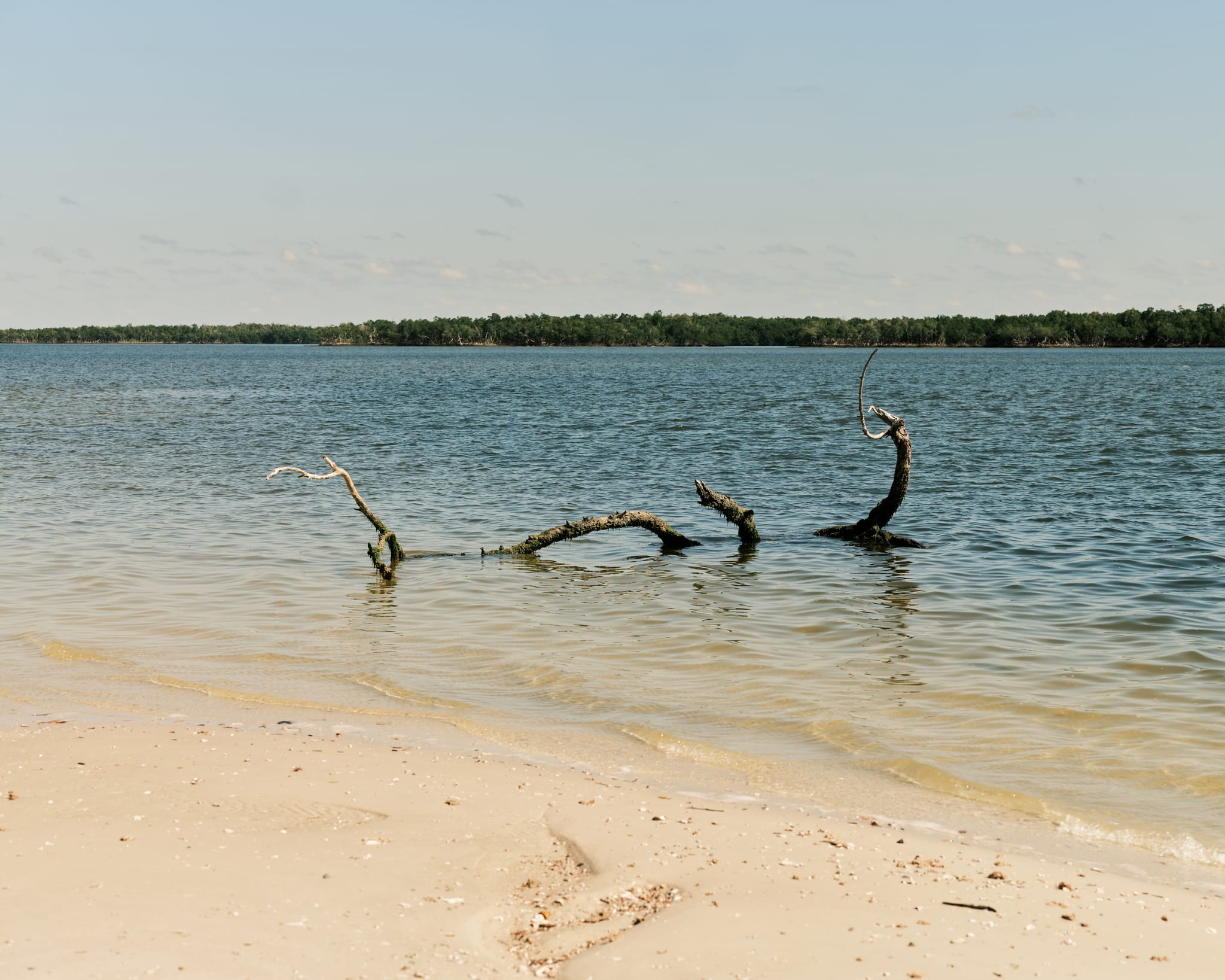Florida's Untamed, Challenging and Profound Ten Thousand Islands | Wildsam