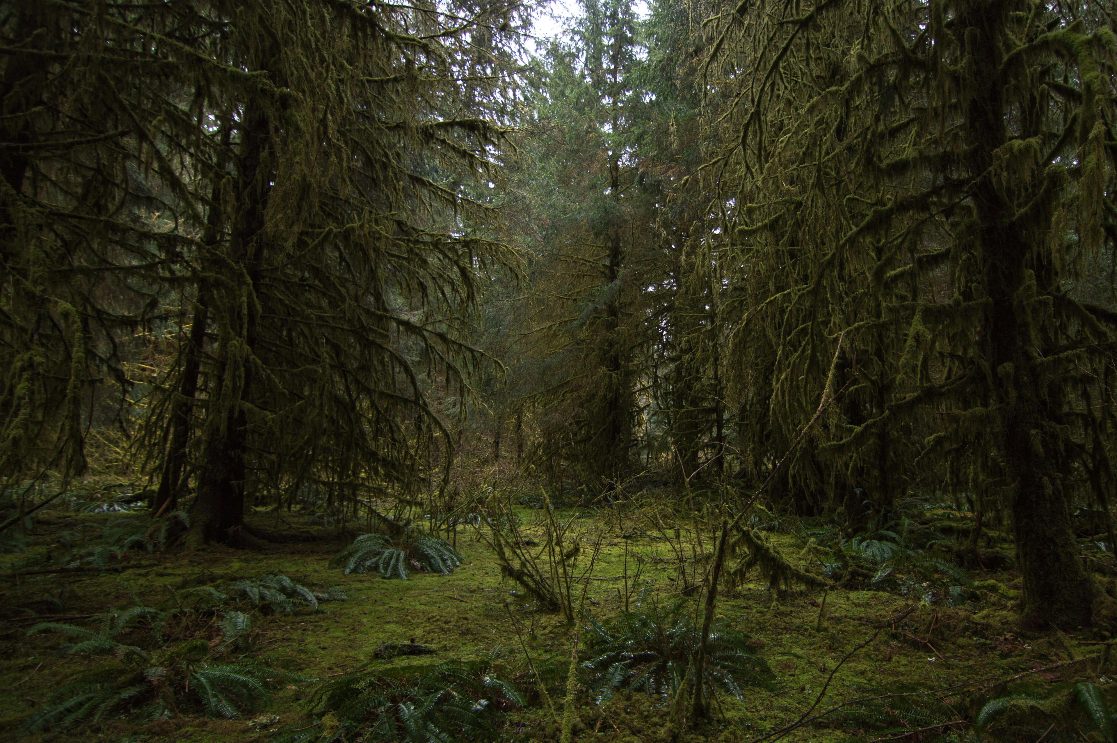 Wildsam