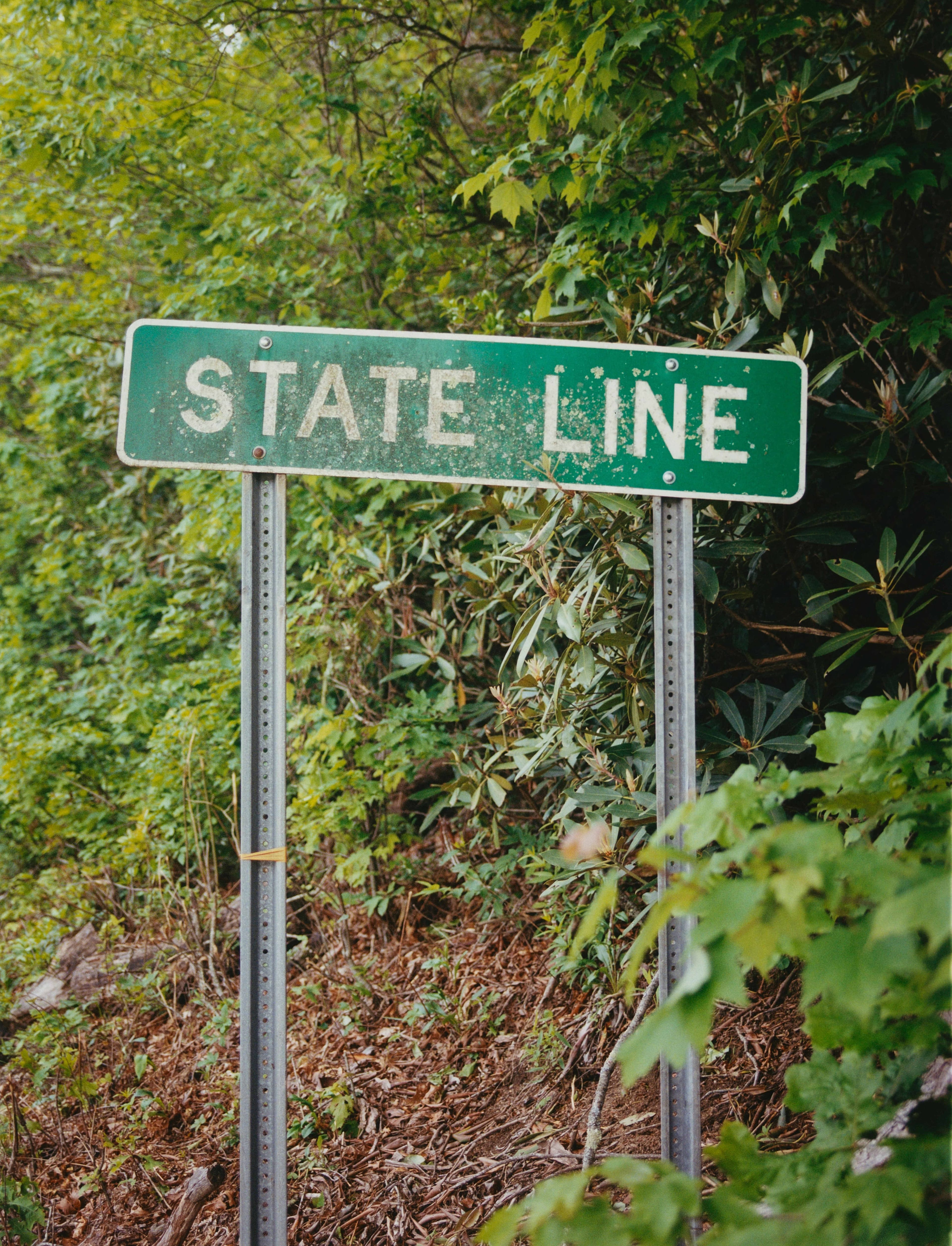 A weathered green sign marks the border between two states on the Georgia Traverse.