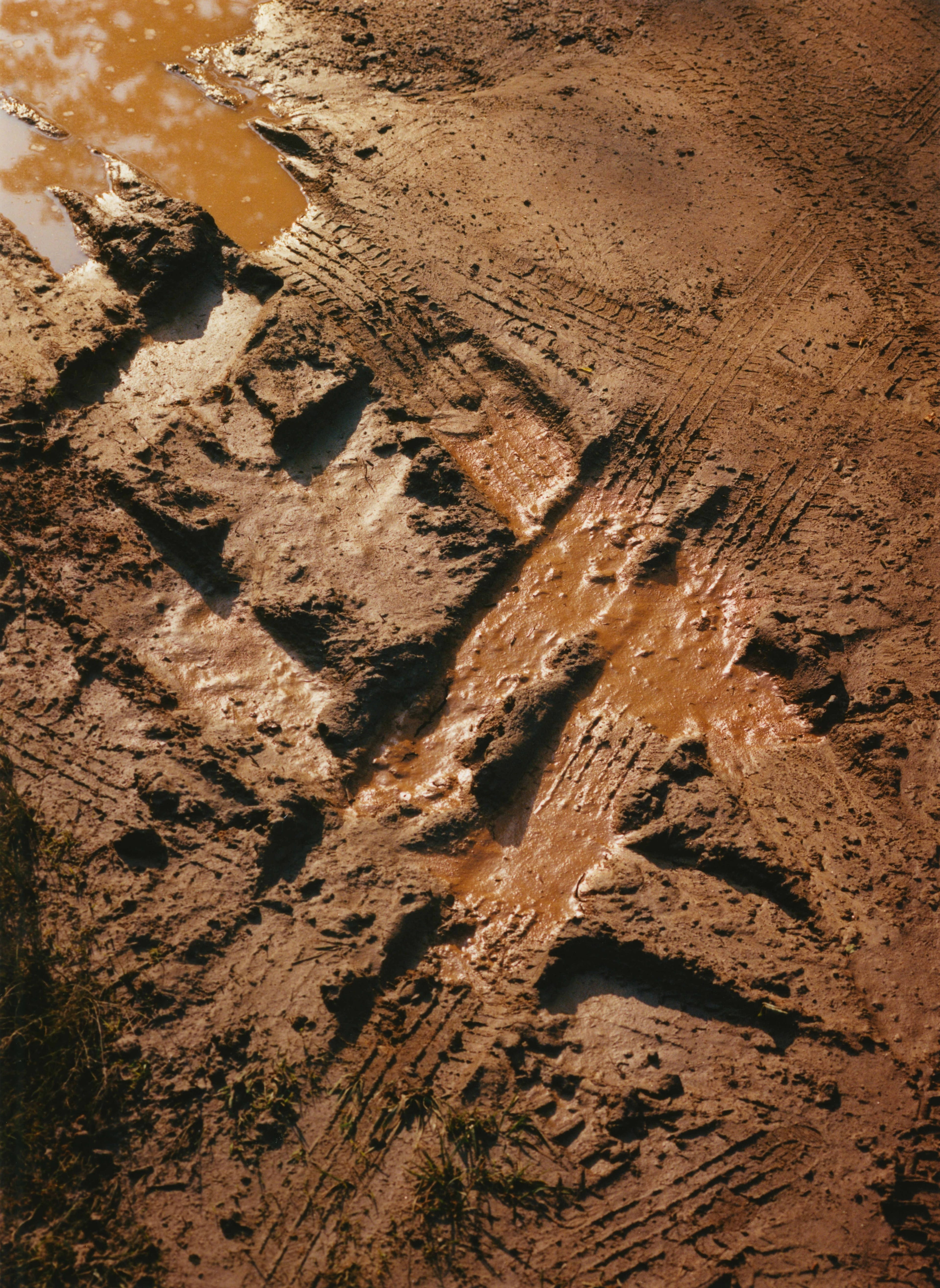 Tire tracks on a muddy road along the Georgia Traverse