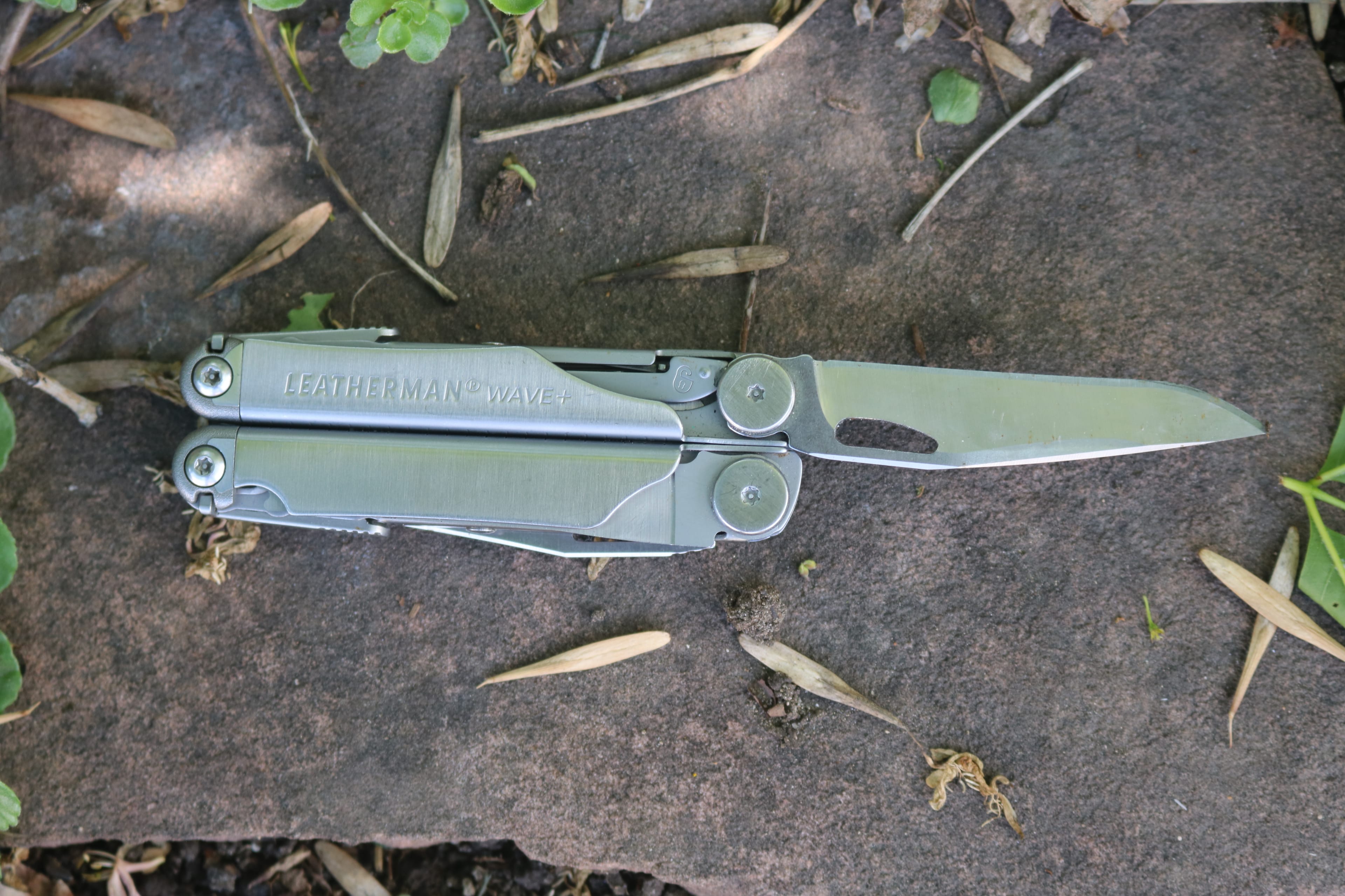 Wildsam