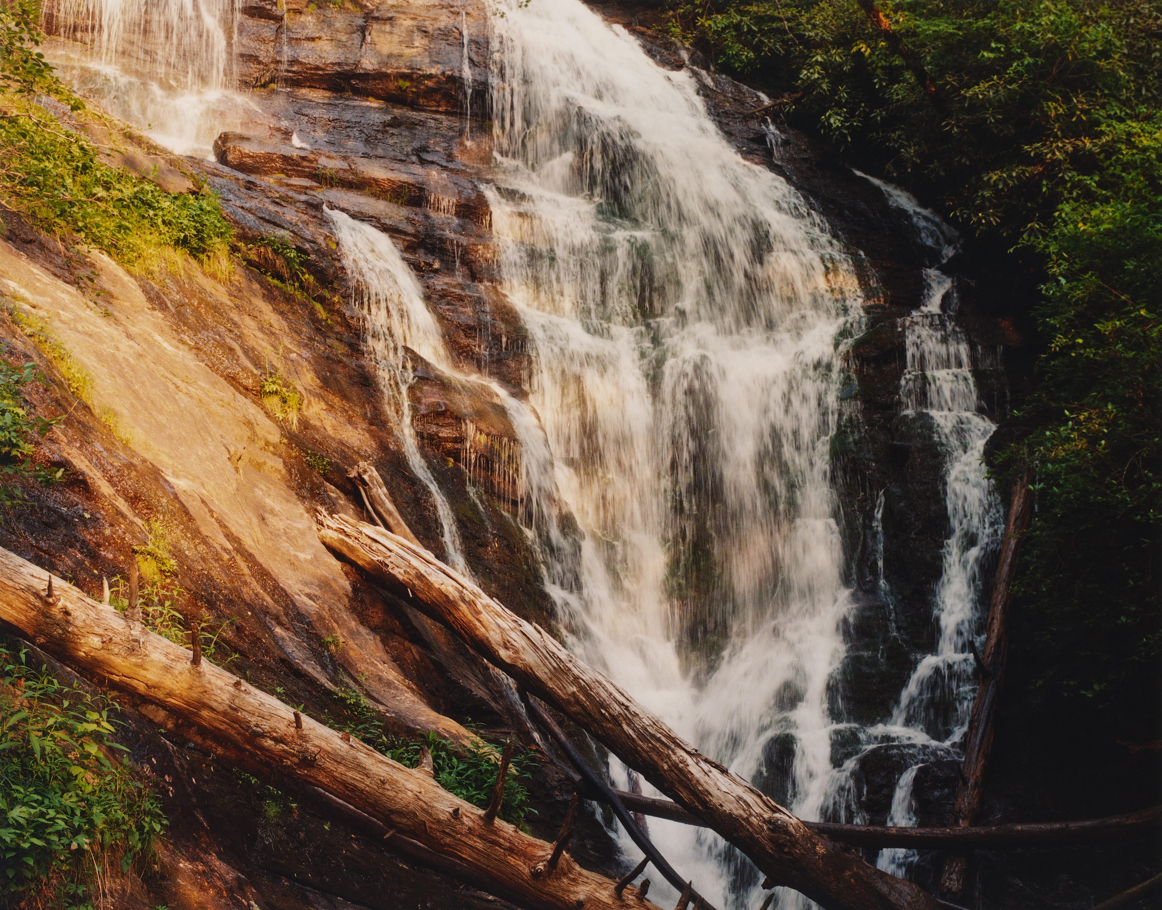 King Creek Falls flows over a rocky cliff, surrounded by greenery with fallen logs at the base of the waterfall