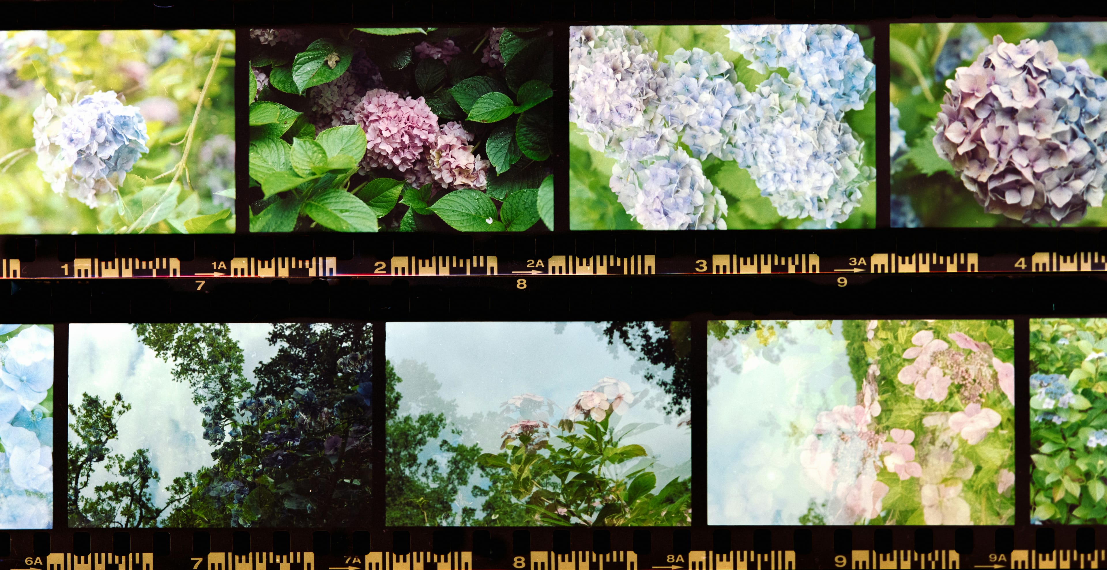 Wildsam