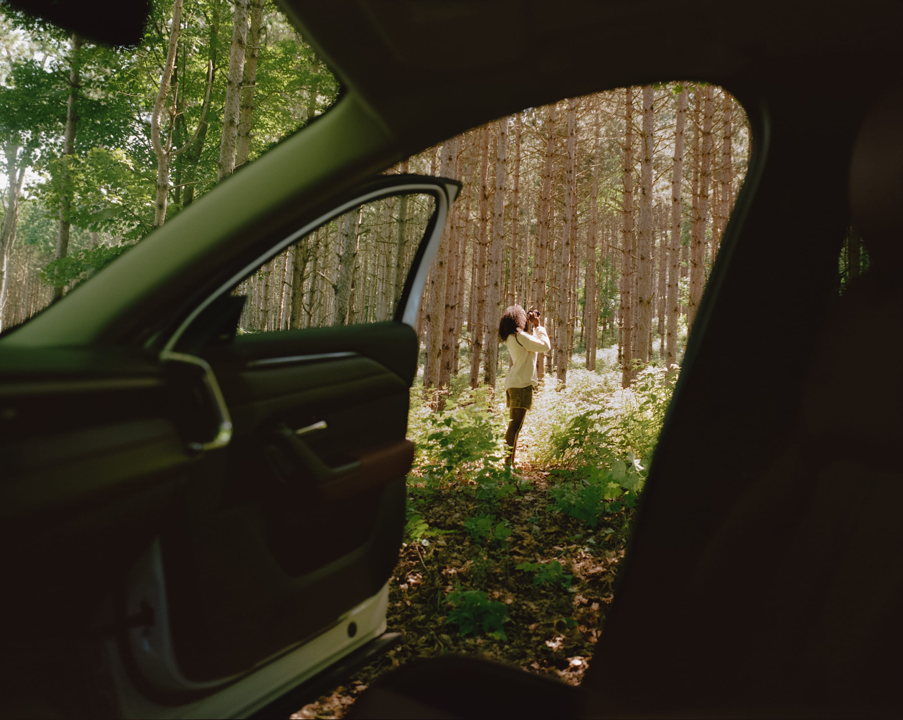 Wildsam