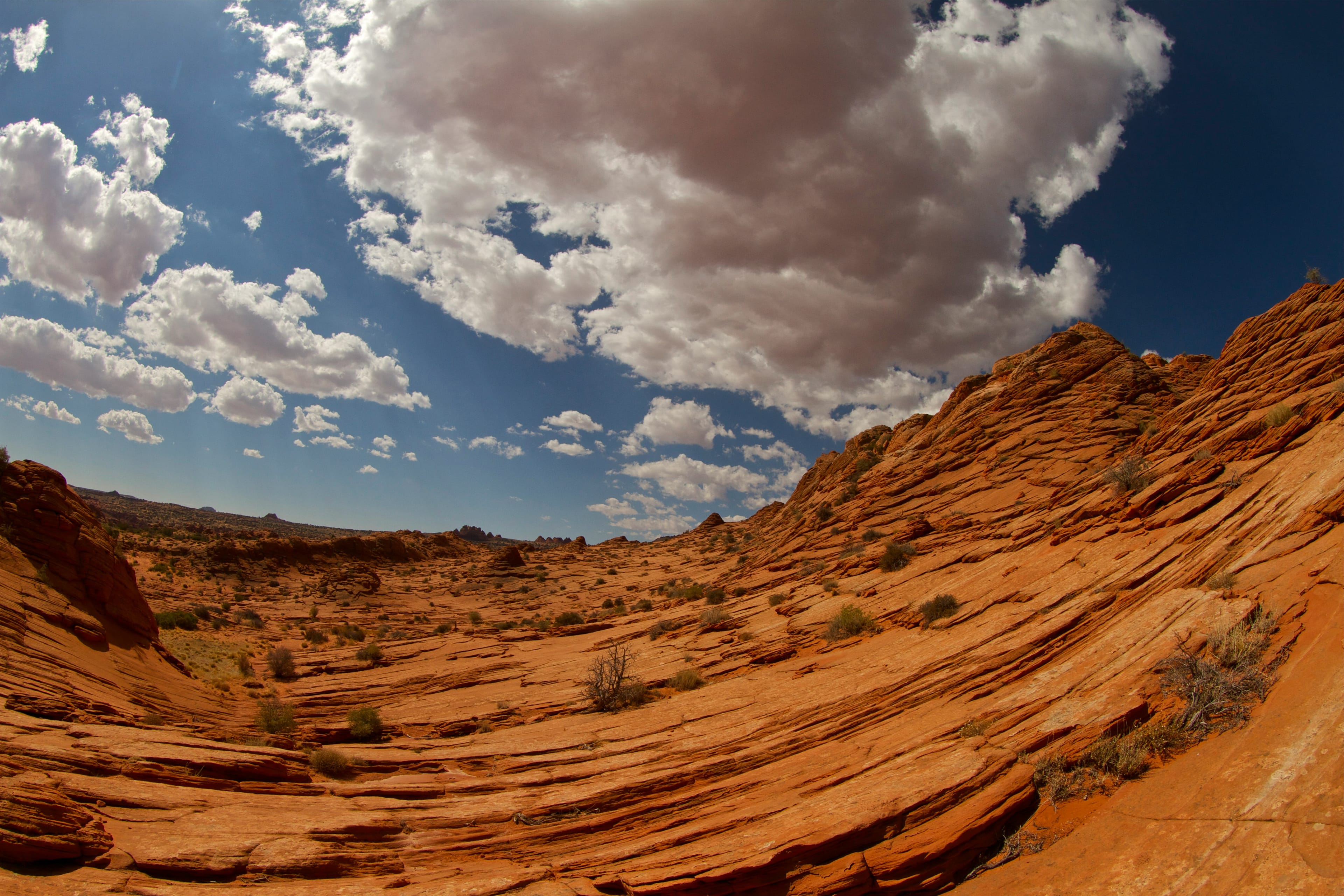 A desert landscape in Kanab, UT